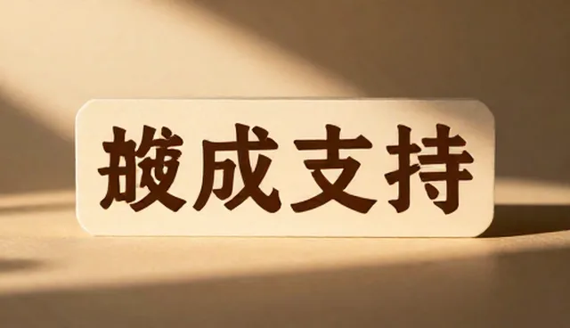技术方案设计中的技术适配要点与限制分析
